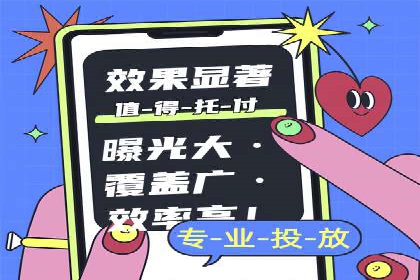 XX行业竞价广告的投放策略与效果分析